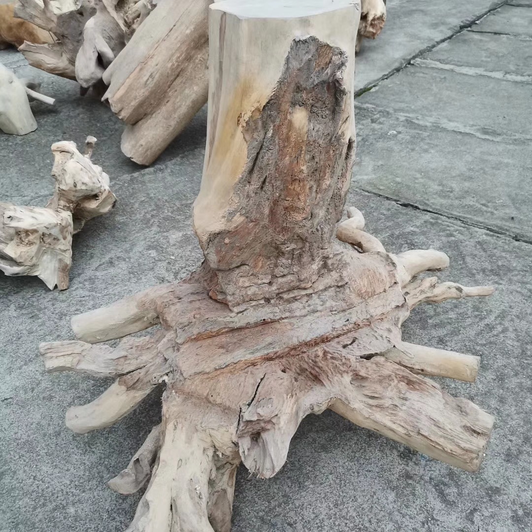 沉香树根家居风水摆件移植栽种盆景树头镇宅旺财辟邪沉香木头