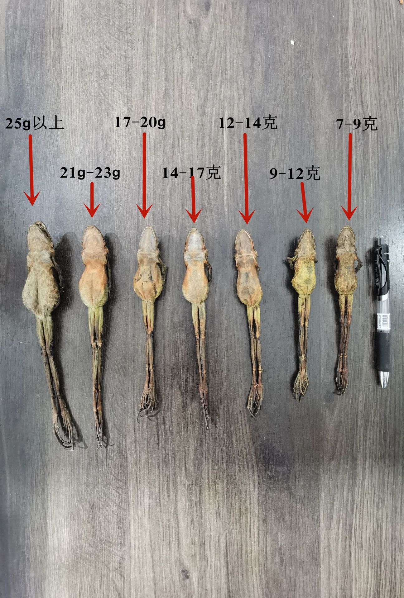 产地批发雪蛤干整只东北特产足干雪蛤油整支林蛙干蛤蟆干一件代发