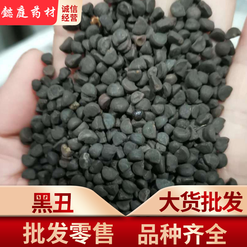 产地直销黑丑 中药材批发牵牛花子 量大从优 实图拍摄-阿里巴巴