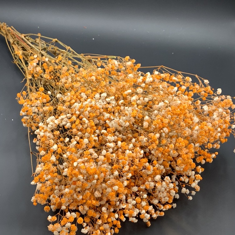 厂家花农满天星永生满天星插花花艺家居装饰婚庆节日送礼