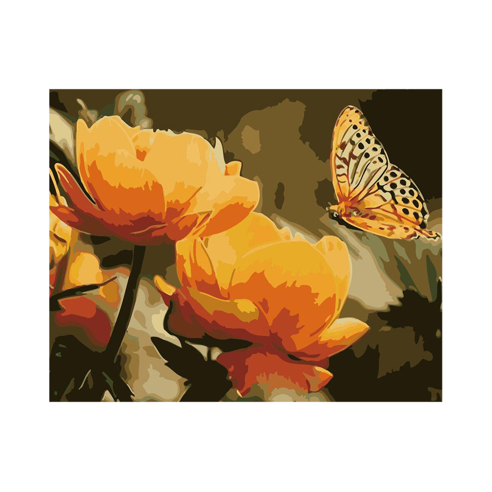 跨境一件代发数字油画批发蝴蝶花朵4050亚马逊wish填色ebay厂直销