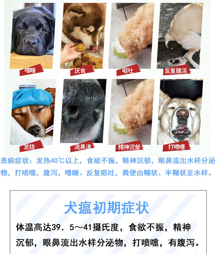 犬瘟试纸细小病毒试纸套装狗狗细小犬瘟测试纸犬瘟热细小试纸条