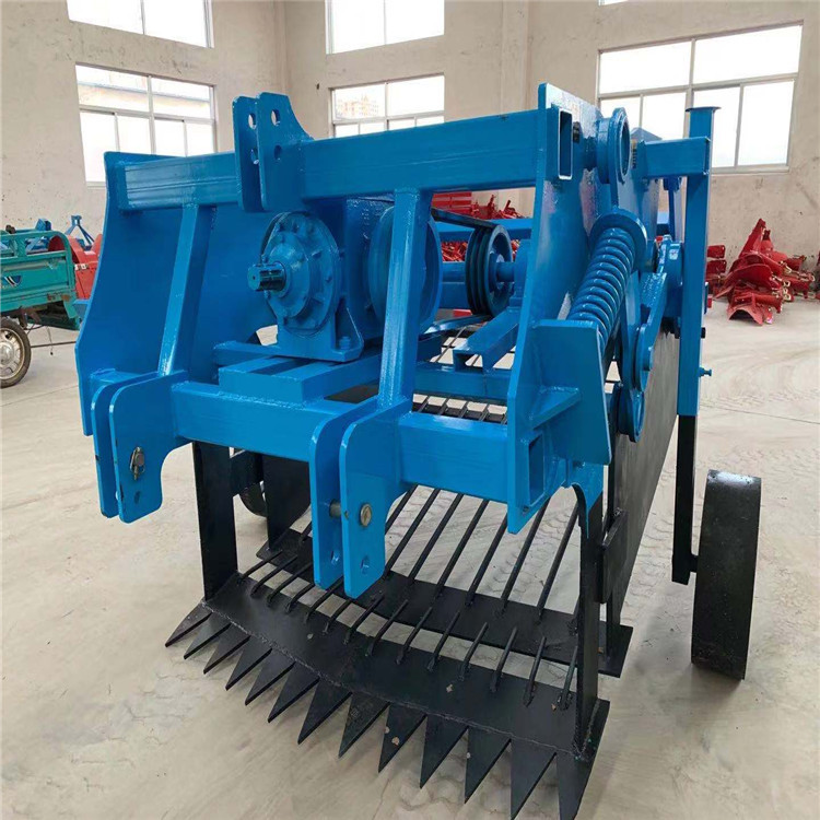 白芷收割机药材挖掘机大型根茎中药材收获机紫苑葛根挖药机厂家