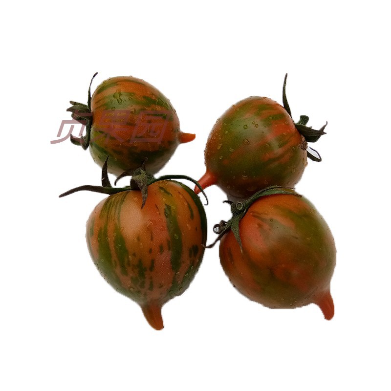 东北花皮球柿子酸甜农家皮球柿子新鲜小柿子净果4斤装包邮
