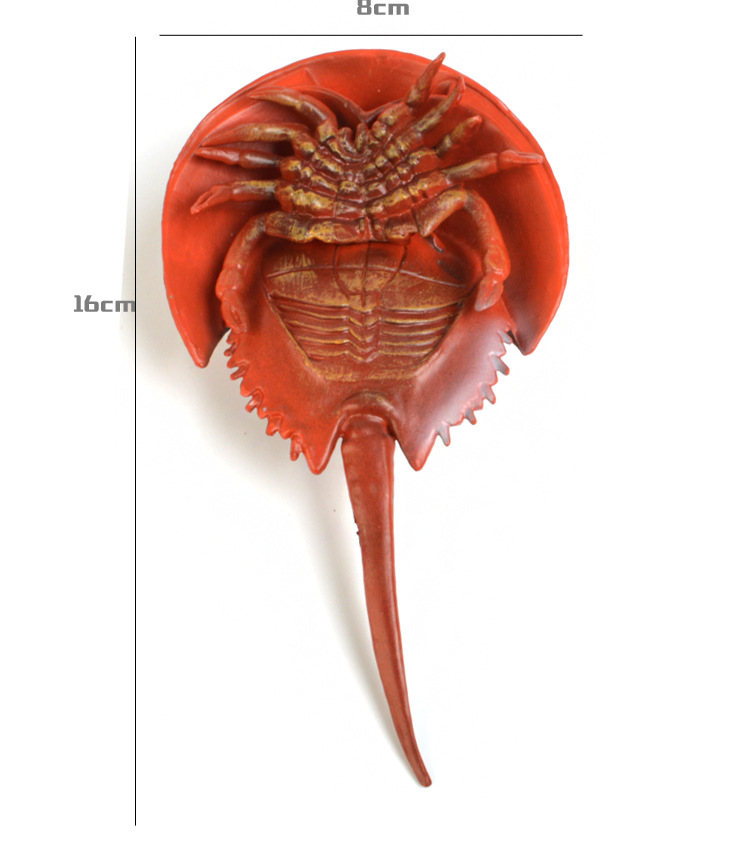 跨境仿真海洋动物模型螃蟹玩具 塑胶玩具实心动物玩具模型 鲎
