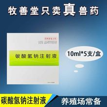 兽用 碳酸氢钠针剂 小苏打注射液 牛羊瘤胃鼓气猪健胃消食针 批发