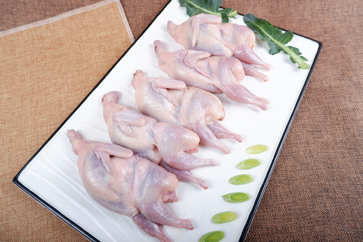 包邮放血现杀速冻鹌鹑 大鹌鹑 减头去尾鹌鹑 干净无毛,量大从优