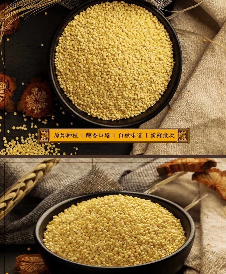 有机大黄米 人民食品 东北黄糯小米黍米月子粥米300g