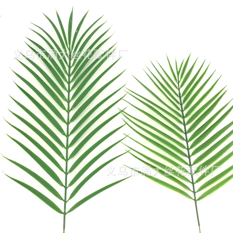 北欧风单支棕榈叶仿真塑料散尾葵叶子铁树椰子树叶道具植物墙装饰