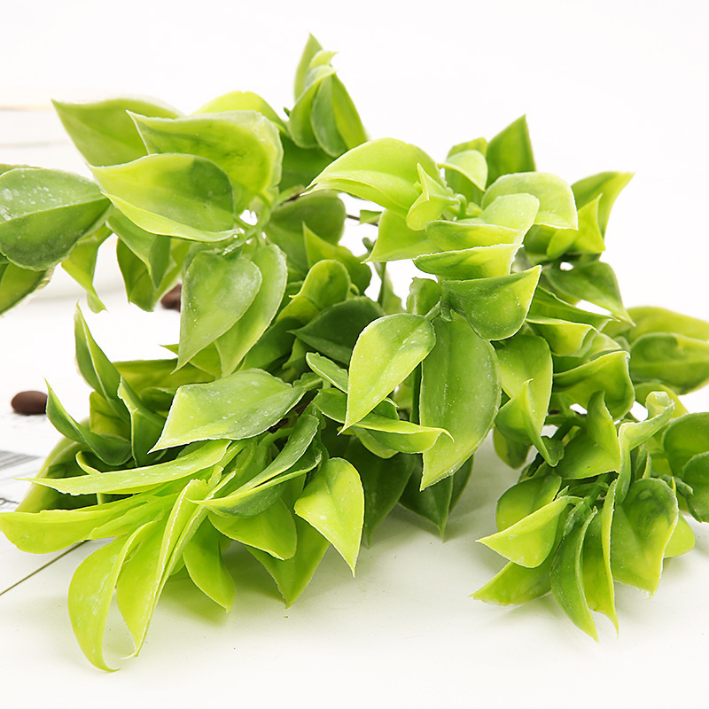 仿真鸡心草 绿植塑料花把束花盆栽装饰 植物背景墙装饰配材