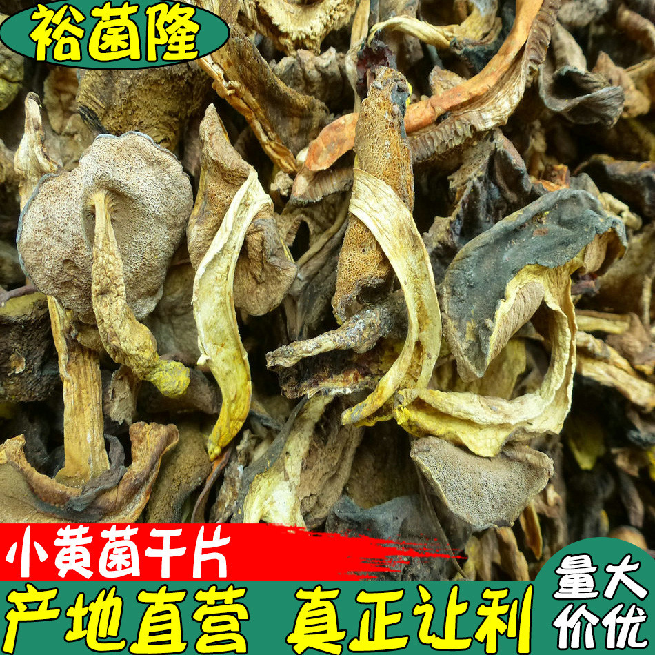 【裕菌隆】 小黄菌 火锅熬汤菌 小黄牛肝 细脚黄 酒店熬汤菌批发