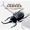 Manufactor Direct selling solar energy Toys Beetle Beetles originality gift interest Souptoys Enlightenment science