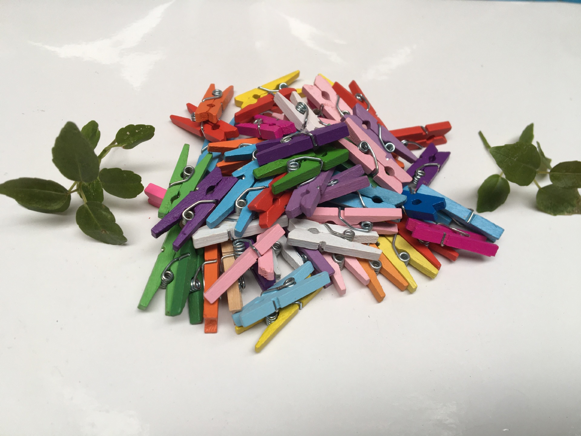 幼儿园手工木衣夹 木质小夹子 照片夹 环保彩色木夹 桦木