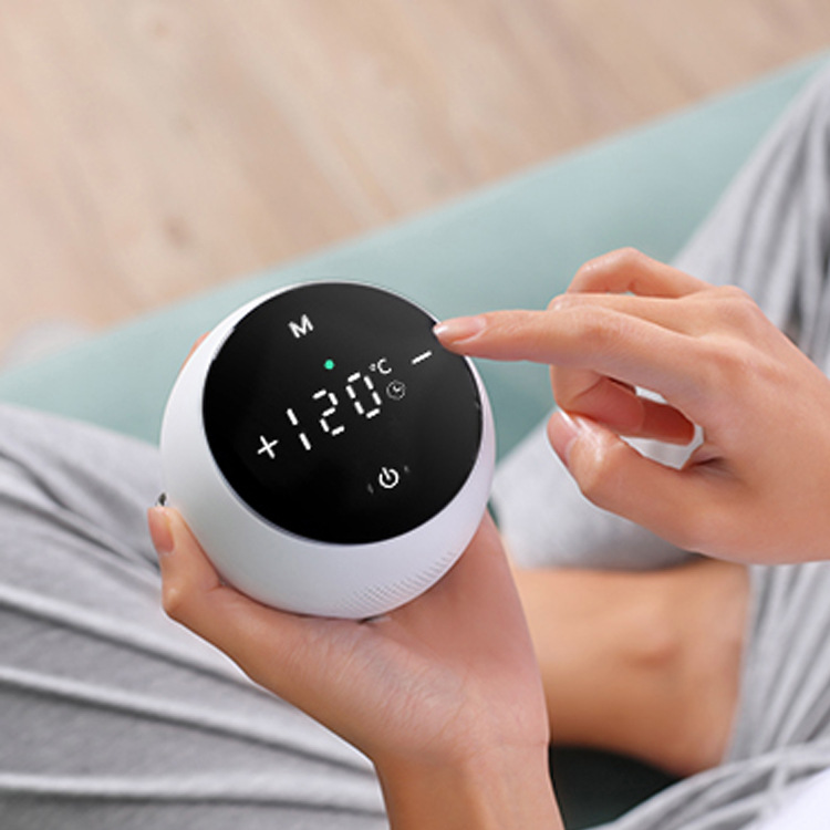 温控无烟艾灸仪