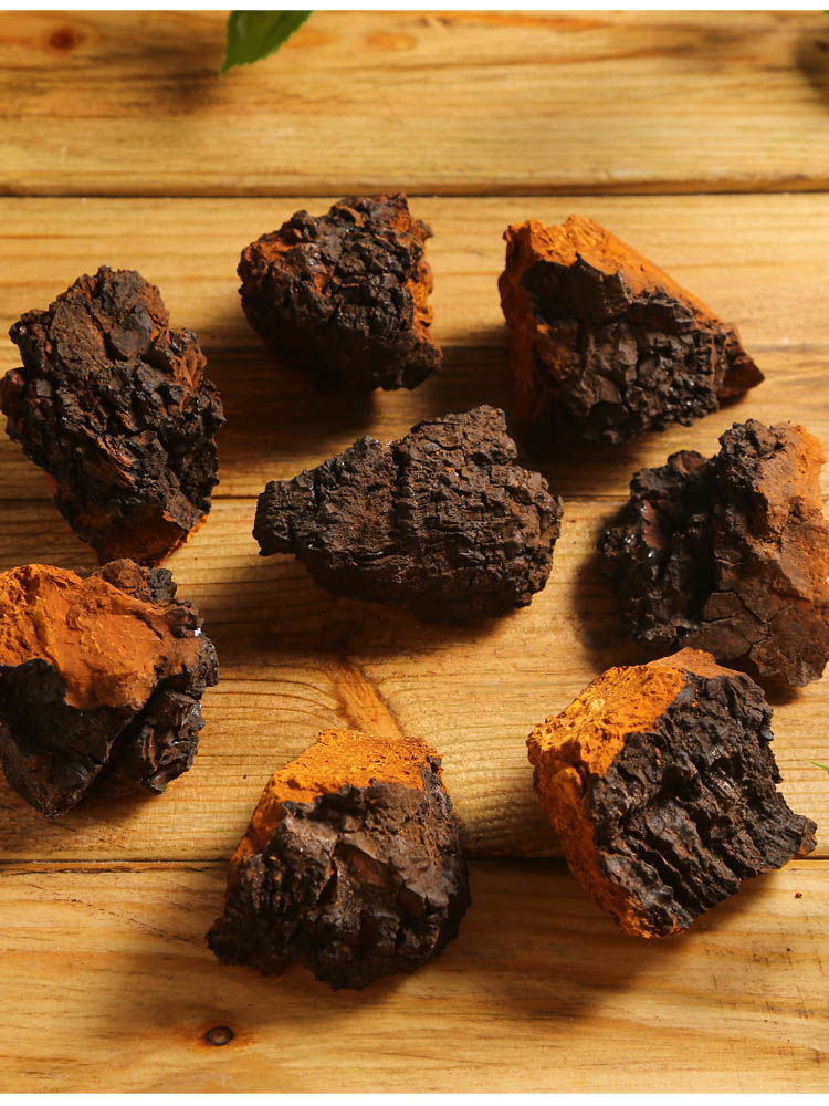 桦树茸俄罗斯进口桦褐孔菌白桦树茸茶铁桦树核桃块可磨粉