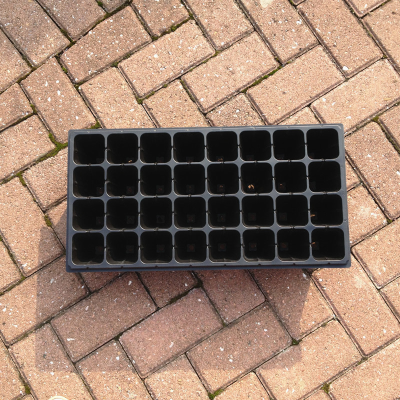 加深林木穴盘植物扦插育苗盒蔬菜育苗盘苗圃育苗容器塑料种植盘