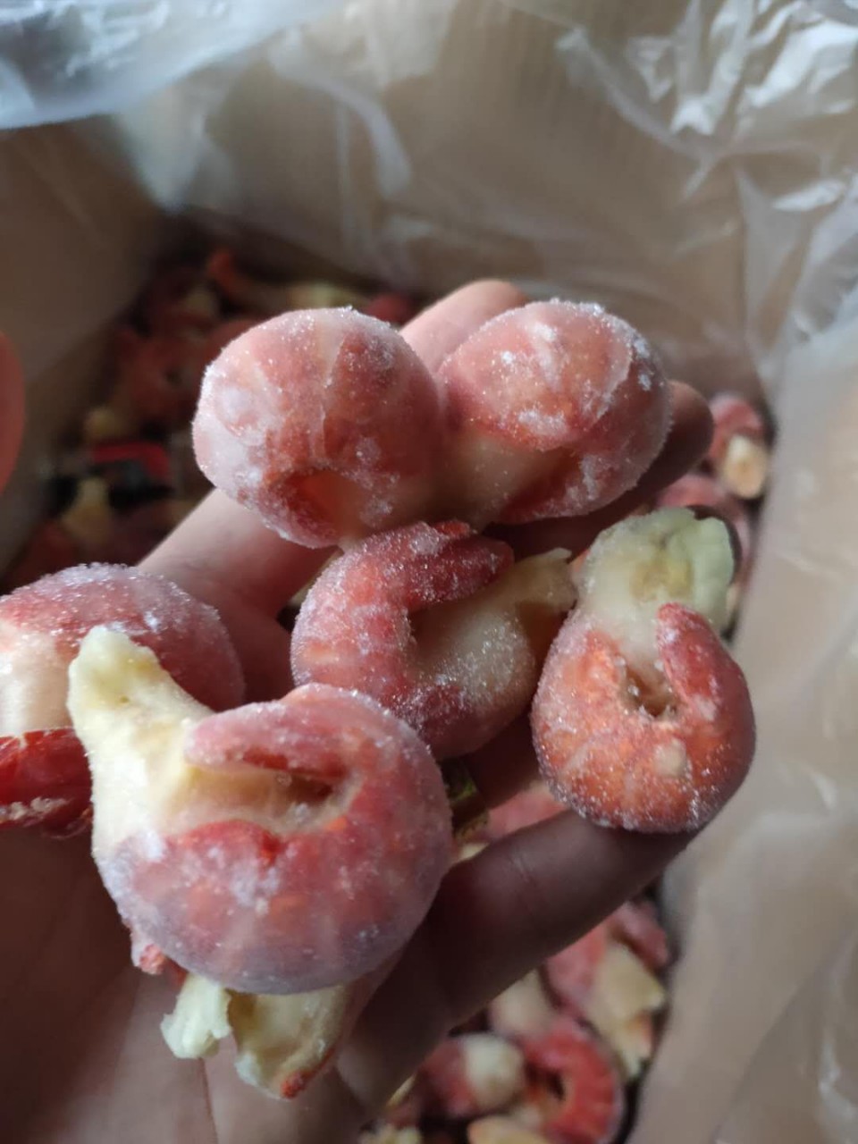 批发供应冷冻龙虾尾网红一件代发捞汁麻辣食材