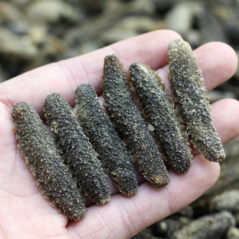 白秃参淡干海参 海鲜水产秃参沙秃黄秃参干货食材批发250g-阿里巴巴