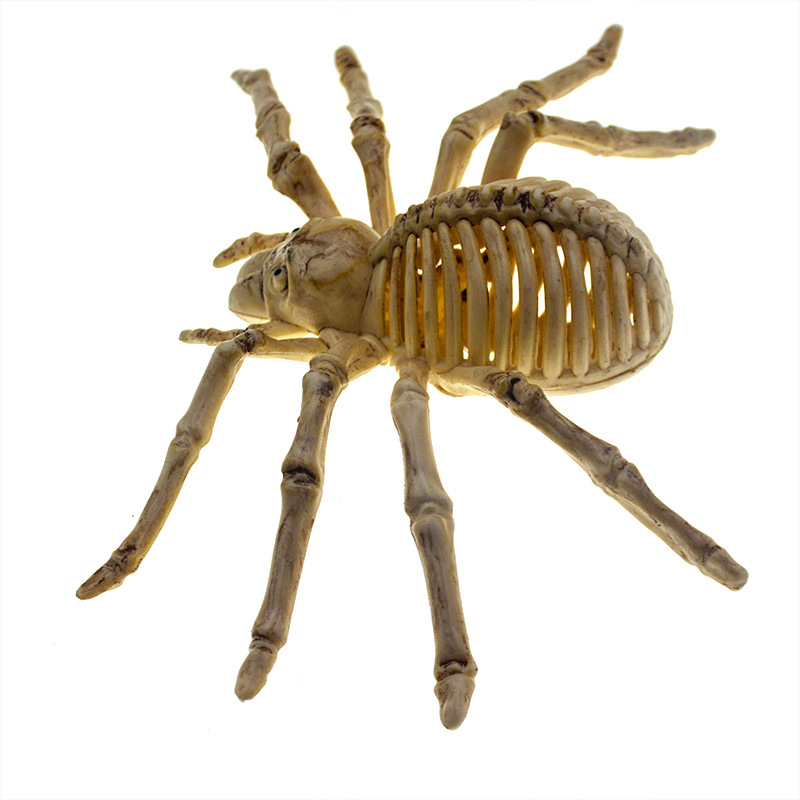 万圣节骷髅仿真骨架蝙蝠食人鱼蜘蛛老鼠蜥蜴蝎子鬼屋酒吧恐怖装饰