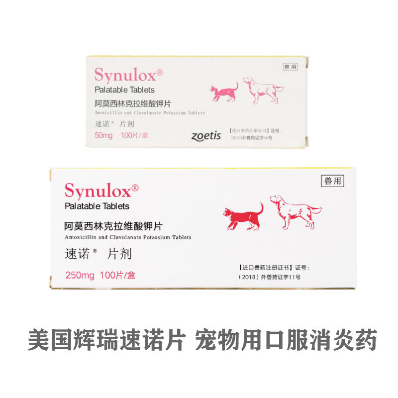 5速诺50mg速诺片250mg宠物狗猫消炎药猫鼻支犬感冒口炎毛囊