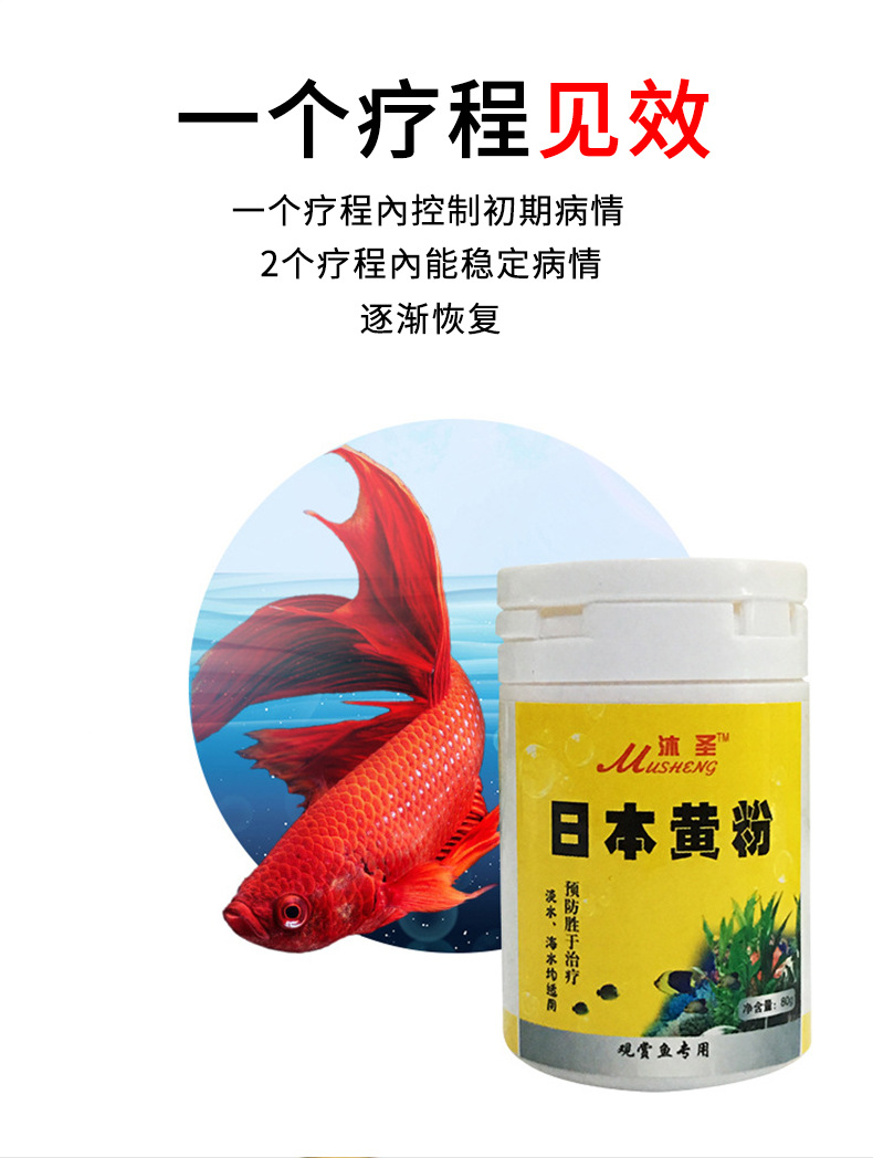 日本黄粉鱼药烂尾烂腮肠炎白点白毛蒙眼鱼病水族药观赏鱼龟药
