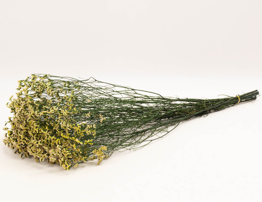 水晶草干花批发云南优质永生花保鲜花染色水晶草家居装饰花束批发