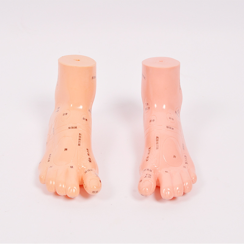 13cm足部按摩足模型脚模型穴位模型反射区按摩足部足穴 一对装