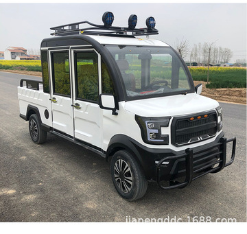 定制四轮电动车新款全封闭电动皮卡车两用代步电动货车新能源汽车
