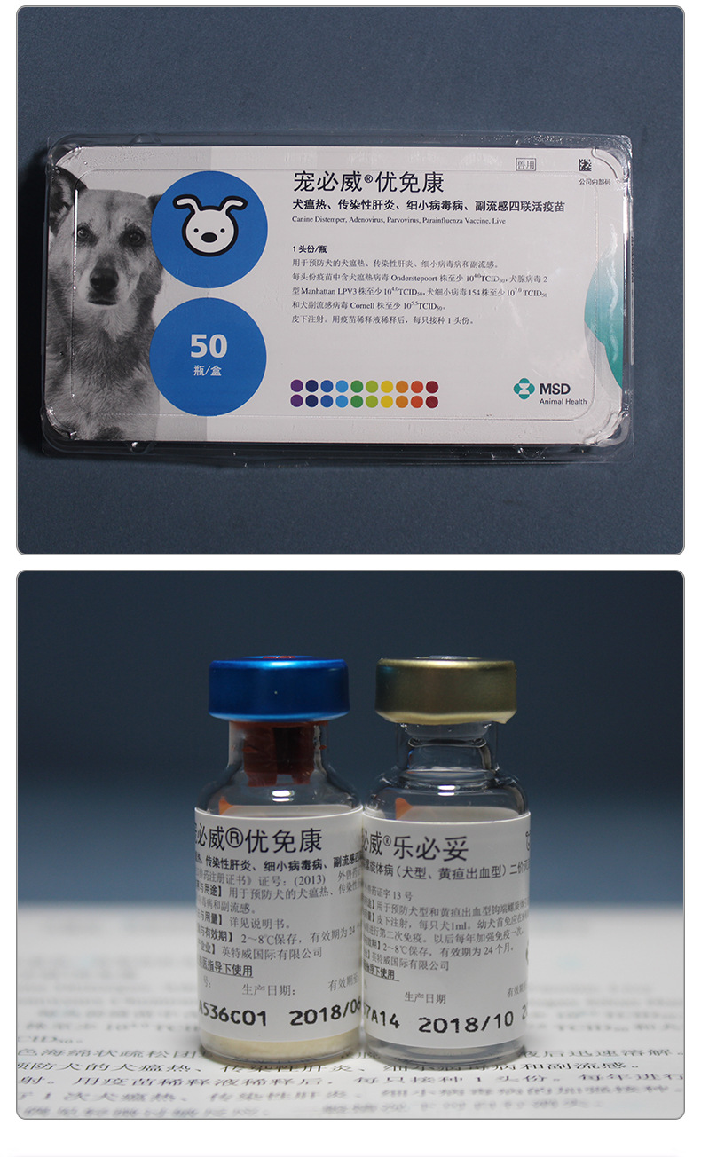 【现货】荷兰英特威6联宠物犬用疫苗 英特威六联狗用疫苗
