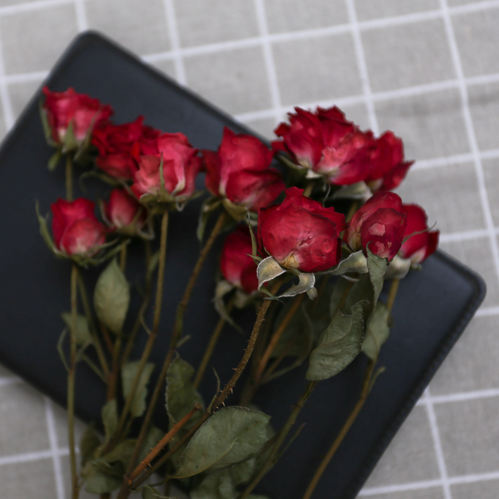 一件代发霓虹玫瑰泡泡干花蔷薇七夕情人节干花饰制作 手工蜡片滴