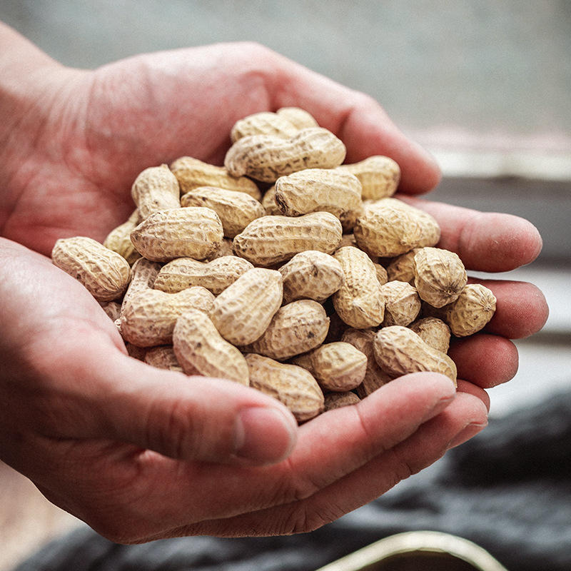 2021年新货湿烤花生 带壳核桃白晒红衣花生20斤 40斤带壳花生批发
