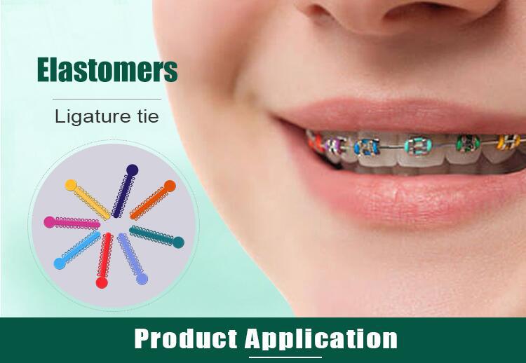外贸专供 牙科正畸材料 o型结扎圈 彩色牙科结扎圈 牙齿矫正材料