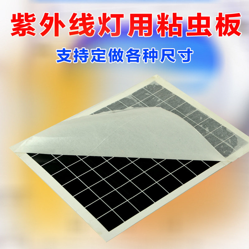 粘蝇纸灭蝇灯粘捕式灭蚊灯粘虫板粘蝇板苍蝇贴灭蝇纸灭蝇板