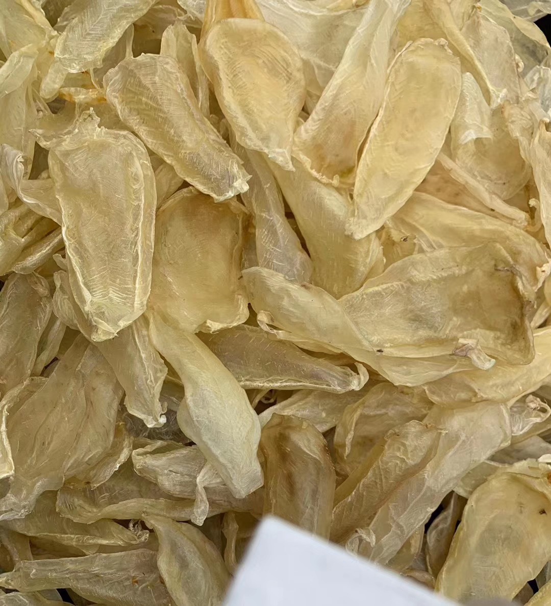 印尼白花胶足干老货产地批发