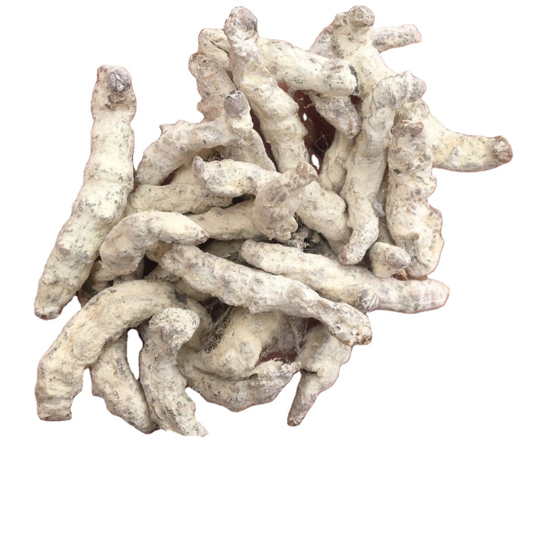 白僵蚕材 白僵虫 天虫 白僵蚕粉 炒僵蚕 僵蚕僵虫 僵蚕粉