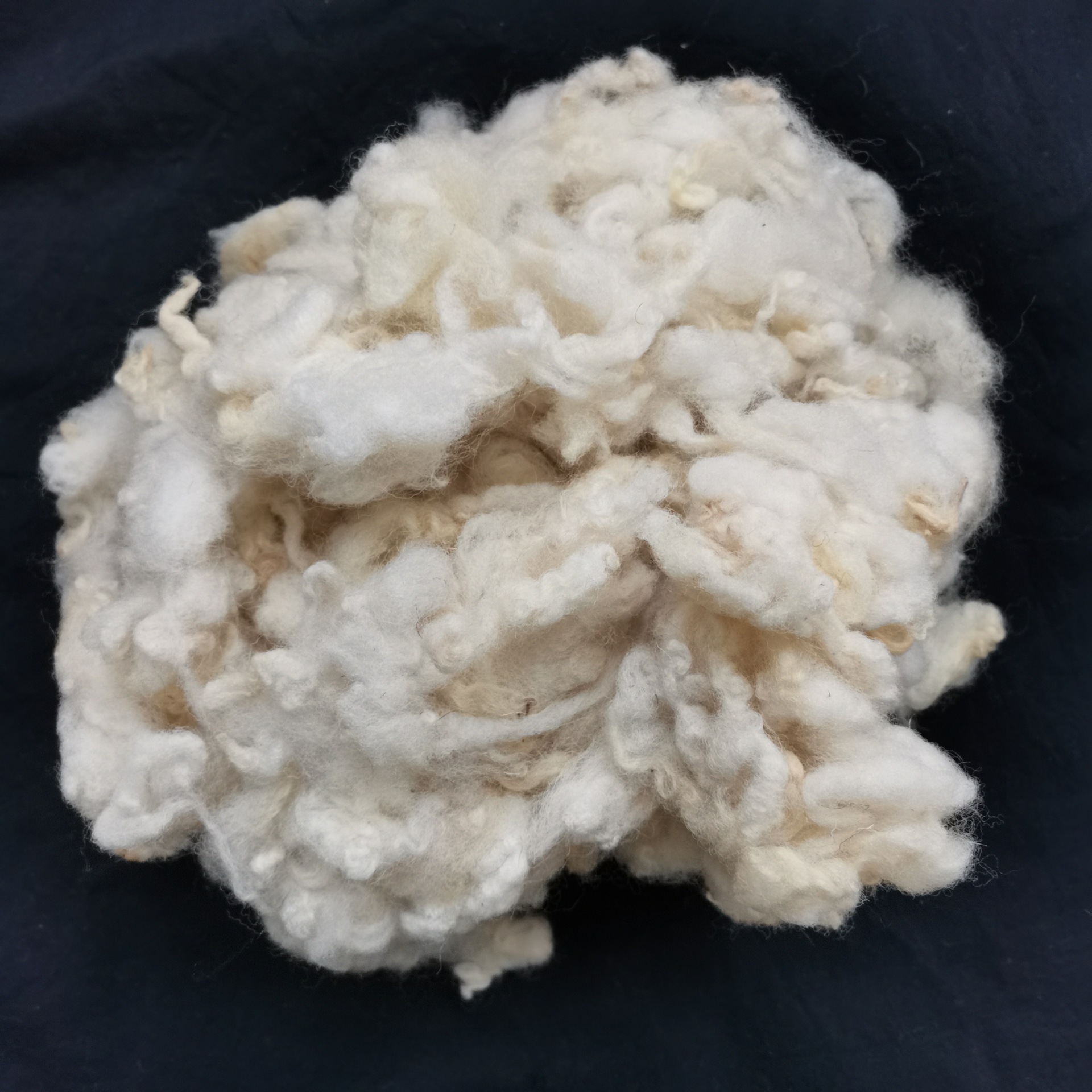 厂家直销水洗英毛羊毛原料羊毛批发精洗英毛被服填充原料羊毛原料