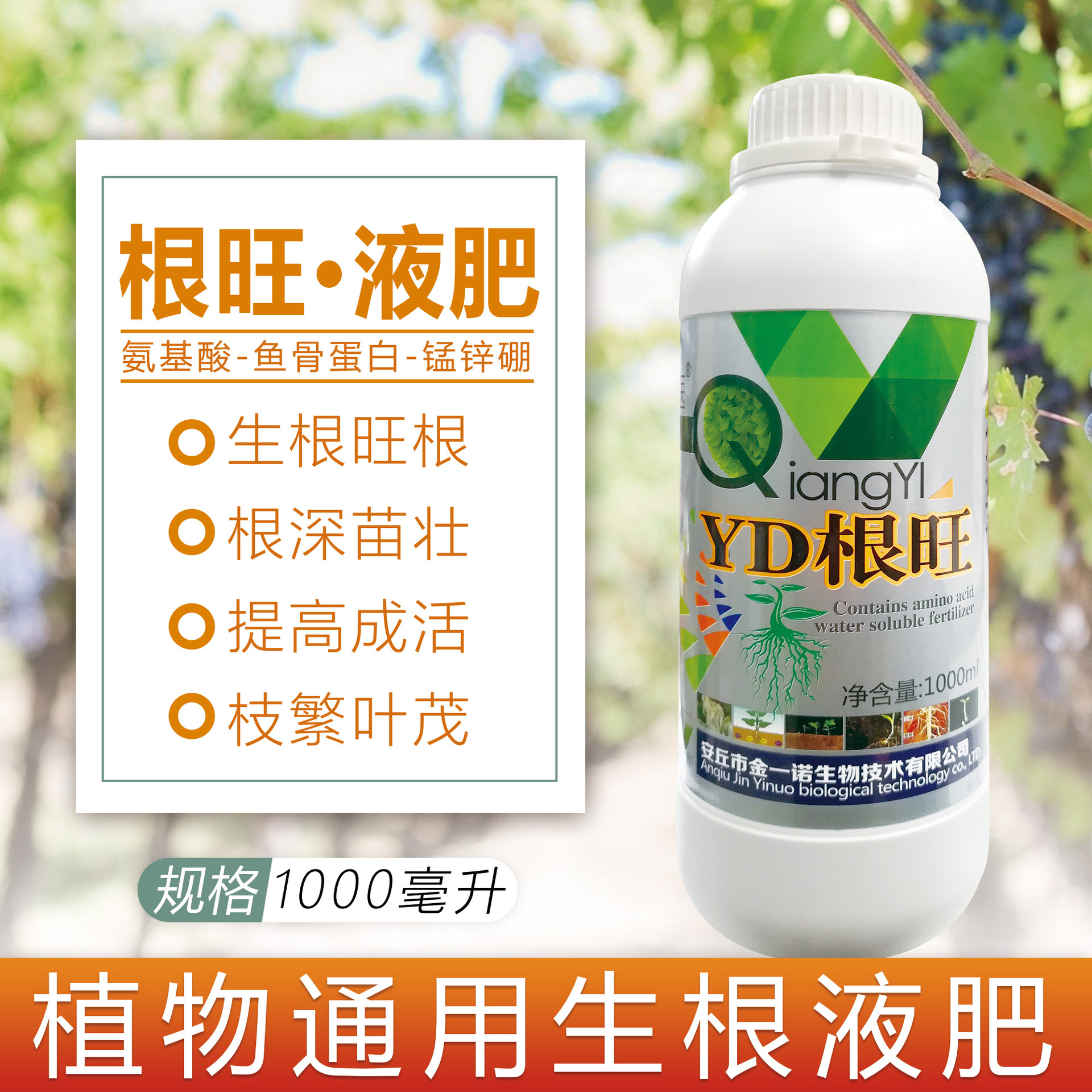 根旺生根剂生根粉生根壮苗快速生根苗木花卉移栽扦插肥1000克包邮