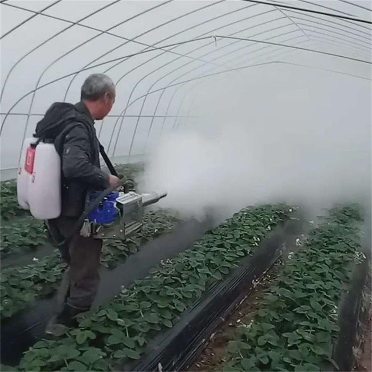 脉冲弥雾机喷雾器水雾烟雾农用电动弥雾机果树大棚高压杀毒打药机