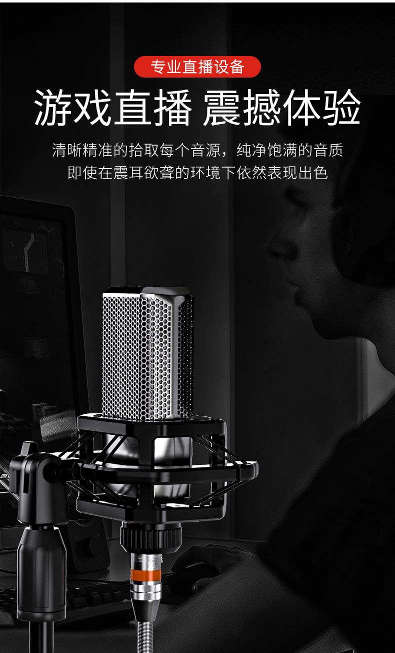 十盏灯 pkking话筒直播电容麦克风设备k歌喊麦录修音支持电脑台式