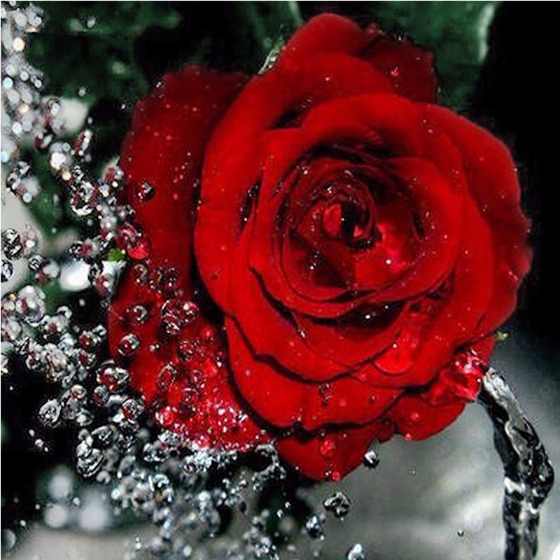 钻石画diy滴水玫瑰 2.8尖顶圆满钻绣 客厅装饰 新款图片厂家定做