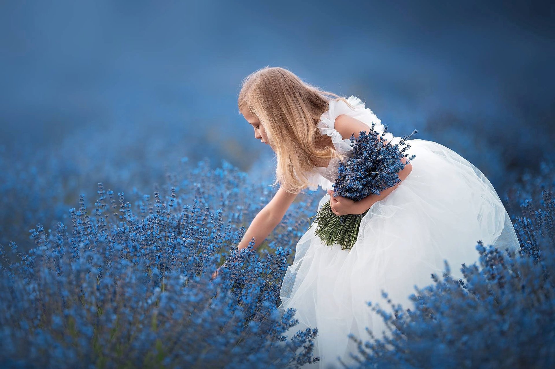 紫色薰衣草上的女孩白裙金发女孩人物钻石画