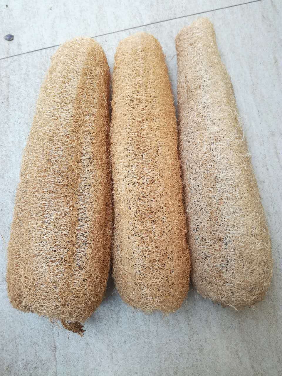 拿样零售各规格丝瓜络丝瓜瓤丝瓜布洗碗刷沐浴刷丝瓜巾