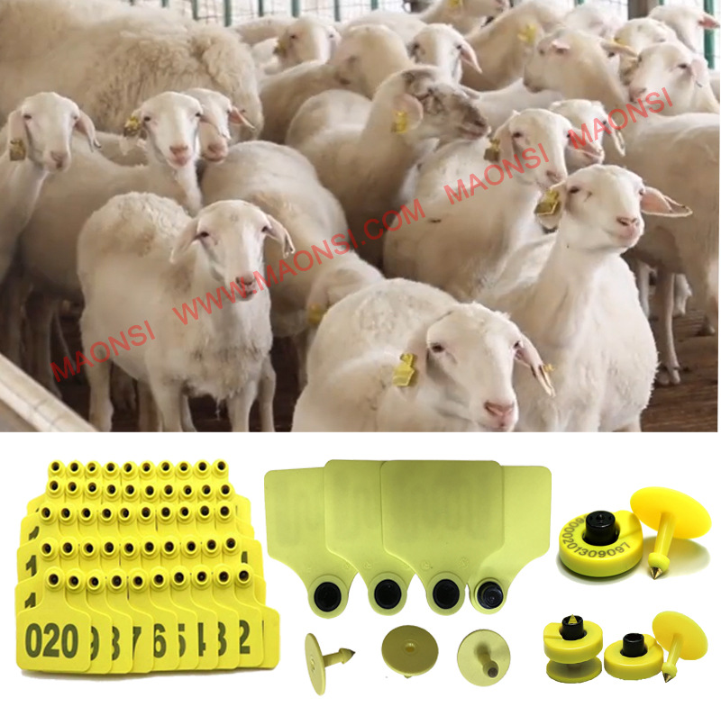 电子羊耳标rfid动物耳标签 超高频6c协义羊耳标 动物朔源管理厂家