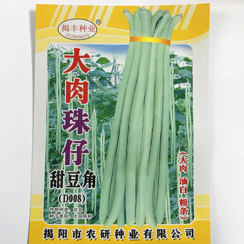 揭丰大肉珠仔豆角种子200克油白粗条甜豆角高产豇豆角蔬菜种子