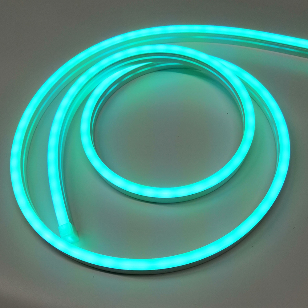 共负rgb彩色led霓虹柔性灯带3838rgy共阴七彩硅胶防水软灯条120珠