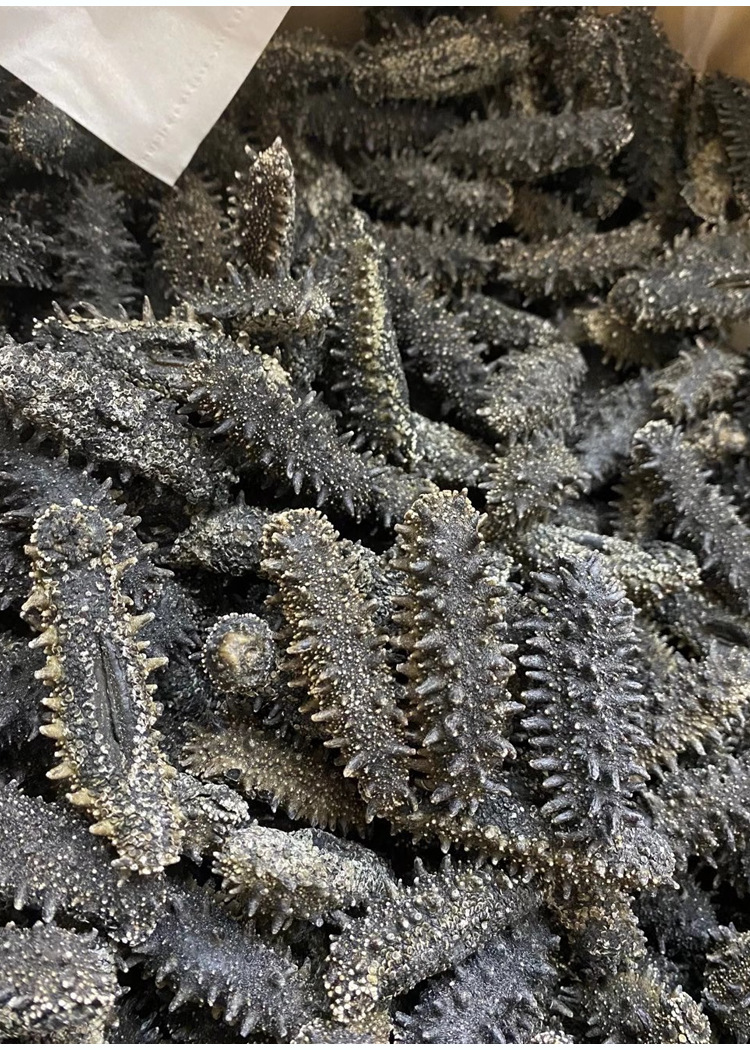 一手货源日本关东参9a纯淡干关东参海参淡干海参海味干货批发代发