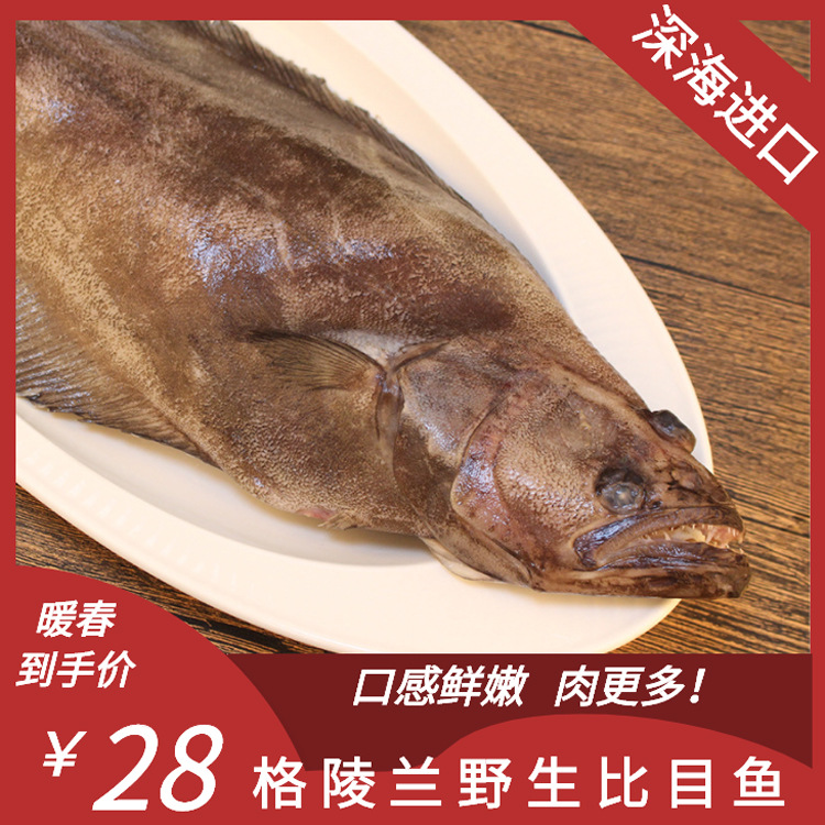 格陵兰野生比目鱼银鳕鱼整条鲽鱼 冷鲜片鸦片鱼野生鱼类一手货源