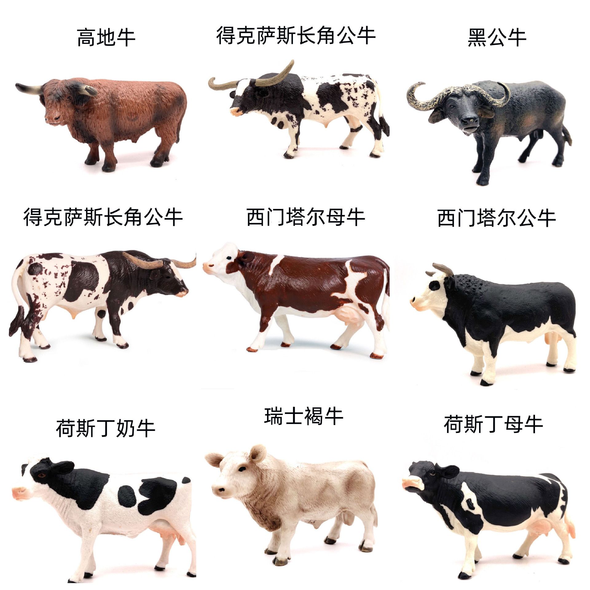 儿童实心仿真动物模型套装公牛水牛黄牛母牛奶牛模型玩具摆件手办
