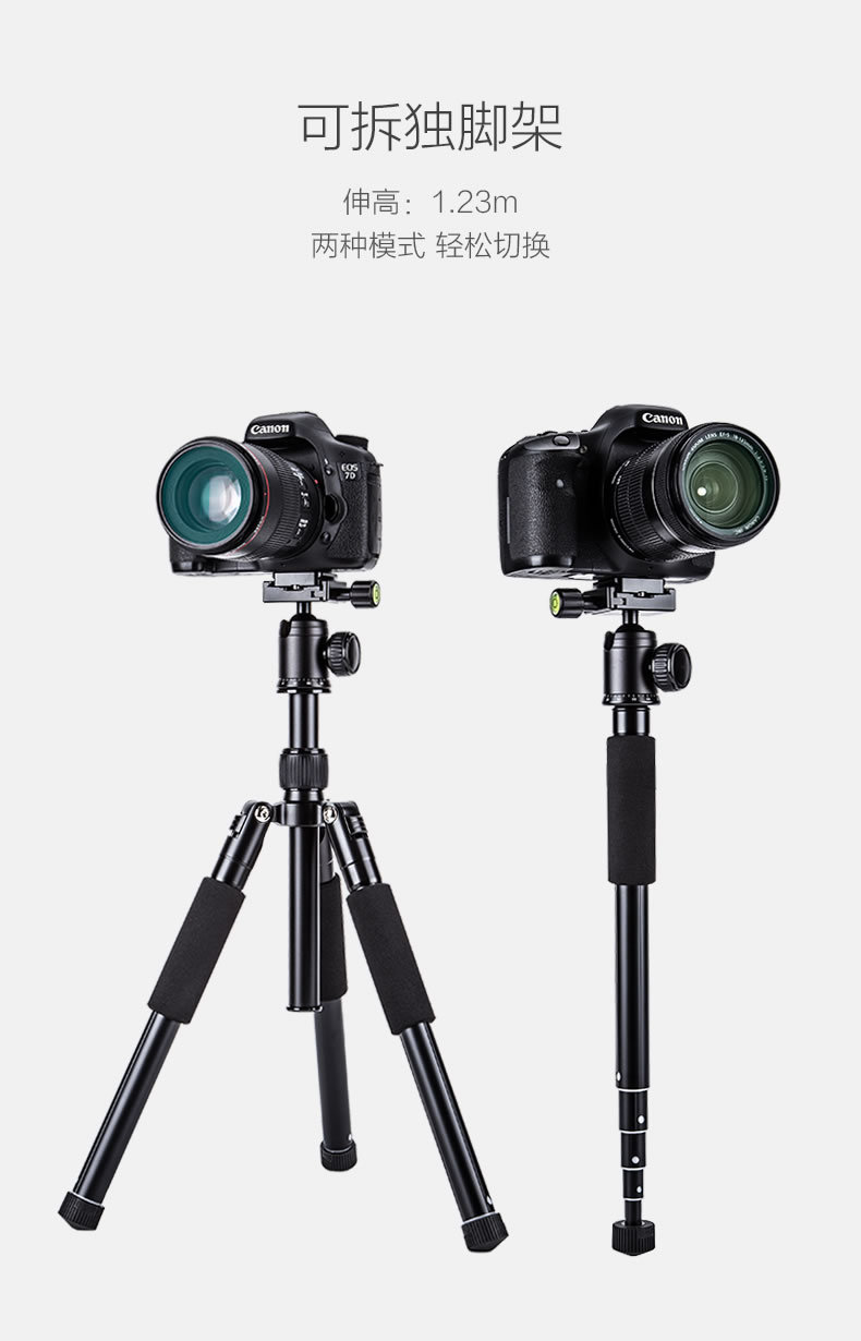 云腾190专业单反三脚架便携户外旅行摄影自拍照相机球型云台套装