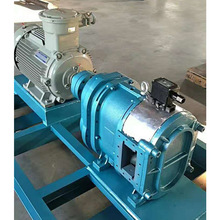 排污泥凸轮泵LDB凸轮转子泵YZB自吸橡胶转子泵污泥泵螺旋式活塞泵